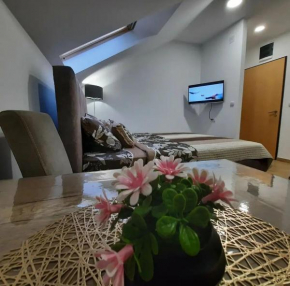 Studio Djukić Sokobanja